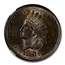 1901 Indian Head Cent MS-64 NGC (Red/Brown)