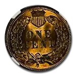 1901 Indian Head Cent MS-64 NGC (Red/Brown)