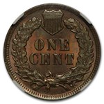 1902 Indian Head Cent MS-64 NGC (Brown)
