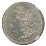 1902 Morgan Dollar MS-61 NGC