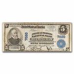 1902 Plain Back $5 Birmingham, Alabama Fine CH#7020