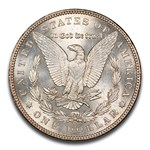 1903 Morgan Dollar MS-61 CACG