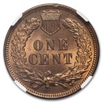 1904 Indian Head Cent MS-64 NGC (Red/Brown)