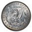 1904 Morgan Dollar BU