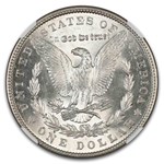 1904 Morgan Dollar MS-62 NGC