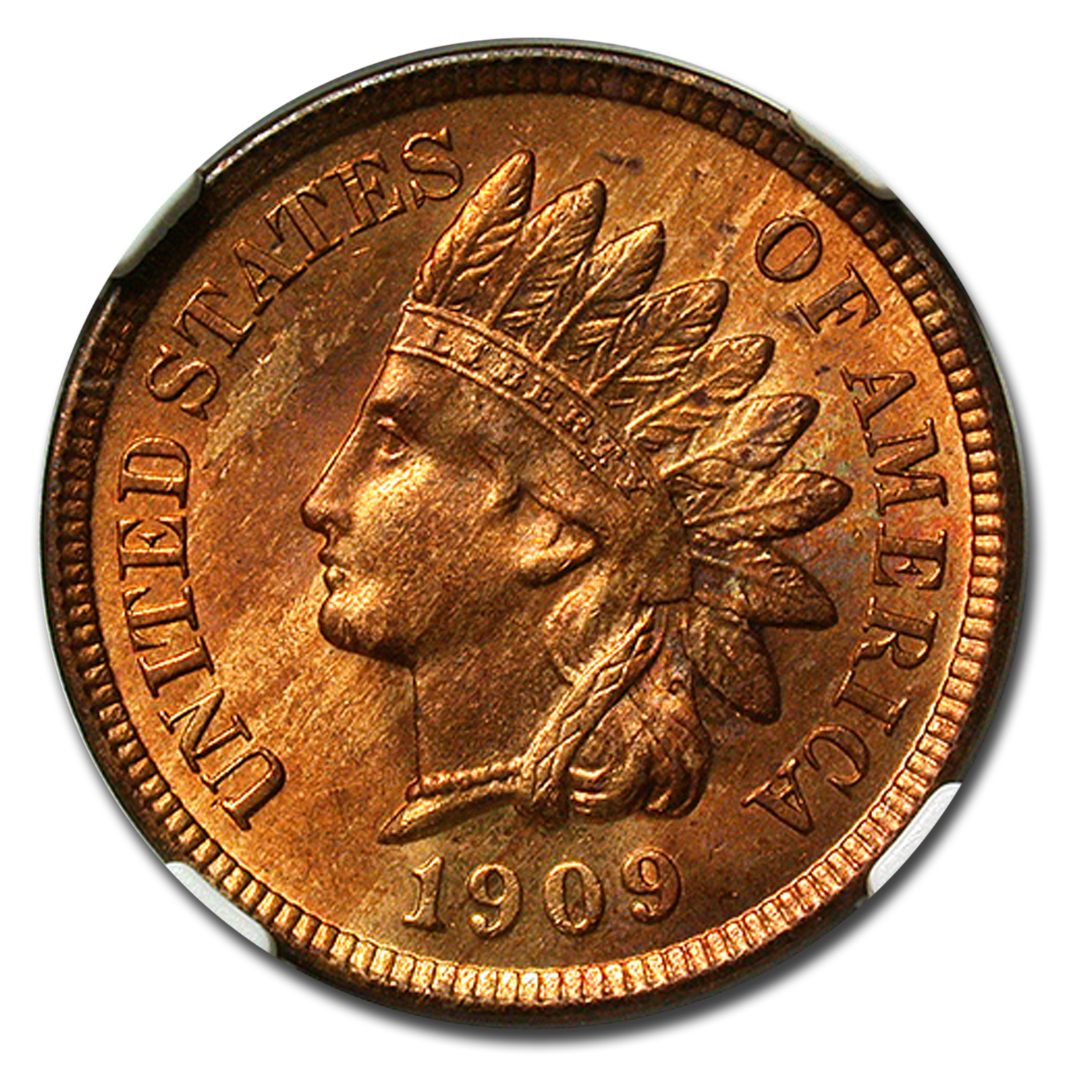 Buy 1909 Indian Head Cent MS-65 NGC (Red/Brown) | APMEX