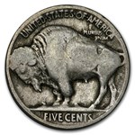 1913-1938 Buffalo Nickels (10 Different Dates &/or Mint Marks)