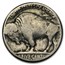 1913-1938 Buffalo Nickels (10 Different Dates &/or Mint Marks)