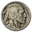 1913-1938 Buffalo Nickels (10 Different Dates &/or Mint Marks)
