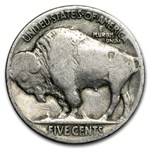 1913-1938 Buffalo Nickels 20-Coin Roll (Partial Dates)
