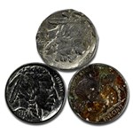 1913-1938 Buffalo Nickels (Culls)