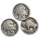 1913-1938 Buffalo Nickels (Partial Dates)