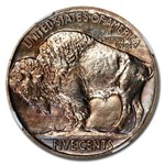 1913 Buffalo Nickel PF-67 NGC