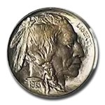 1913 Buffalo Nickel Type-I MS-65 PCGS