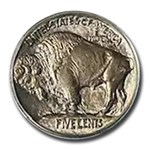 1913 Buffalo Nickel Type-I MS-65 PCGS