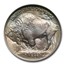 1913 Buffalo Nickel Type-I MS-66 NGC