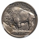 1913 Buffalo Nickel Type-I MS-66 NGC