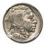 1913 Buffalo Nickel Type-I MS-67 NGC CAC