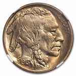 1913 Buffalo Nickel Type-I MS-67 NGC