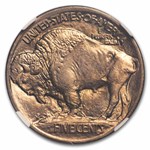 1913 Buffalo Nickel Type-I MS-67 NGC