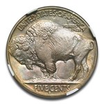 1913-D Buffalo Nickel Type-II MS-66+ NGC