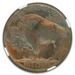 1913-D Buffalo Nickel Type-II MS-67 NGC