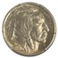 1913-S Buffalo Nickel Type-I MS-65 PCGS