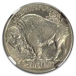 1913-S Buffalo Nickel Type-I MS-66 NGC