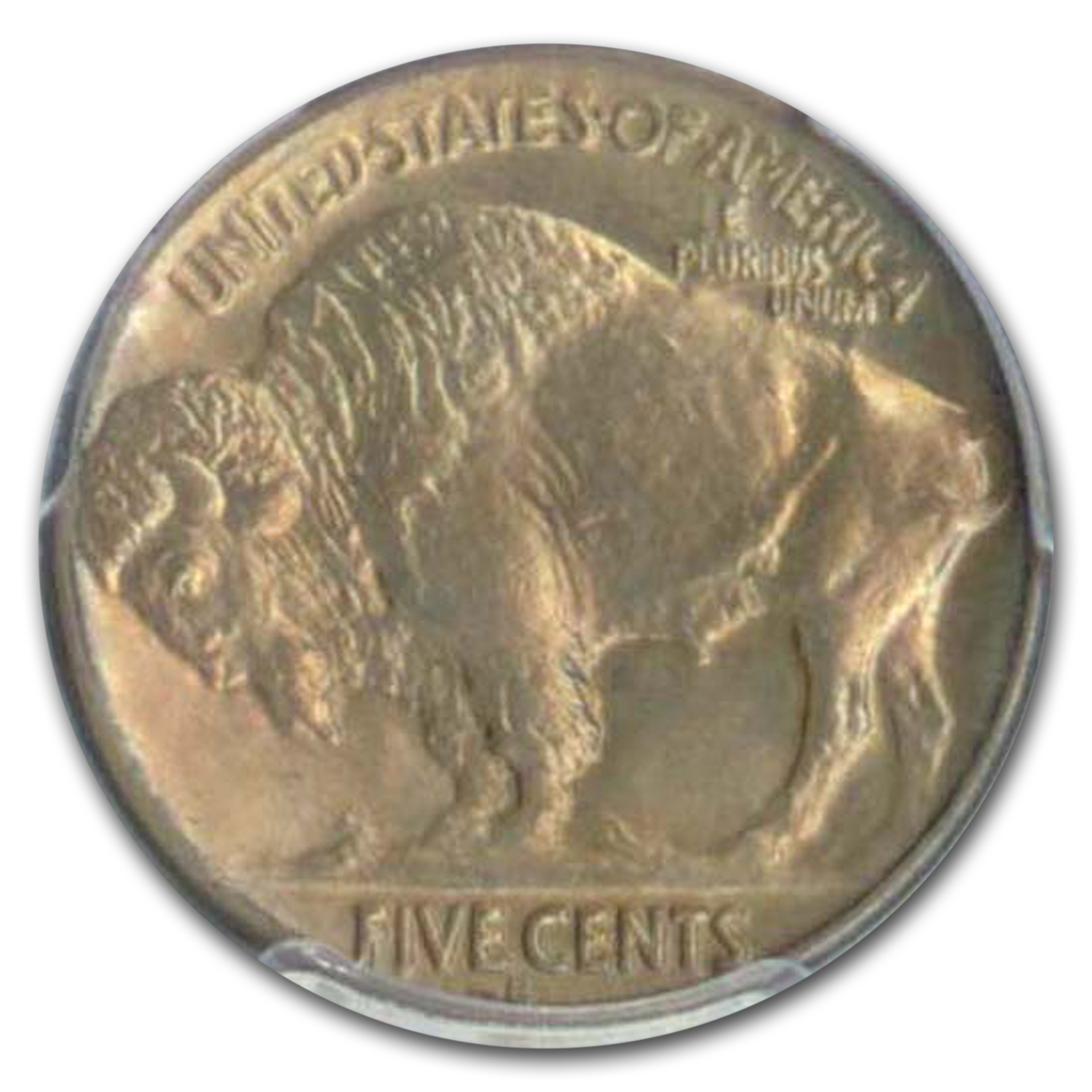 1913 S Buffalo Nickel Type 2 Value - APMEX