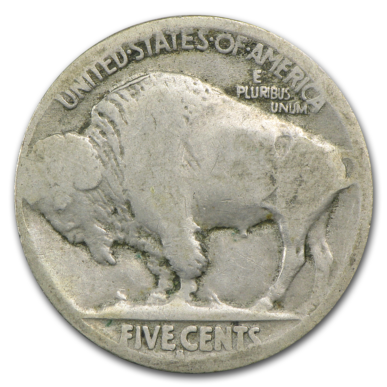 バッファロー5セント　希少年号　1915-S 1915 S 5C MS | Coin Explorer | NGC