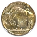 1916 Buffalo Nickel MS-67+ NGC