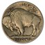 1919 Buffalo Nickel Fine