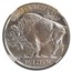 1919 Buffalo Nickel MS-66+ NGC CAC