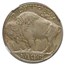 1919-D Buffalo Nickel AU-58 NGC