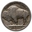 1919-S Buffalo Nickel 40-Coin Roll Avg Circ