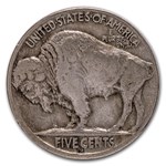 1919-S Buffalo Nickel VF