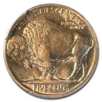 1920 Buffalo Nickel MS-66 PCGS