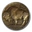 1920-D Buffalo Nickel VF-30 PCGS