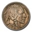 1920-D Buffalo Nickel XF-45 PCGS
