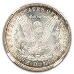 1921-D Morgan Dollar MS-66+ NGC