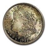 1921 Morgan Dollar MS-65 PCGS (Toned)