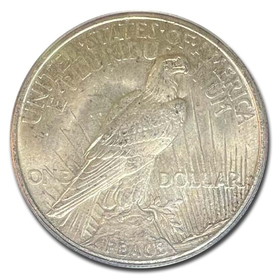 Buy 1921 Peace Dollar MS62 PCGS APMEX