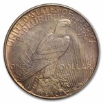 1921 Peace Dollar MS-63 PCGS (Toned)