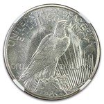1921 Peace Dollar MS-64+ NGC