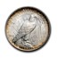 1922-1925 Peace Dollar BU (Originally Toned)