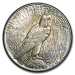 1922-1935 Peace Silver Dollar Cull (Random Year)