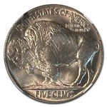 1923 Buffalo Nickel MS-66 NGC