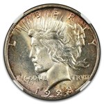 1923-D Peace Dollar MS-61 NGC