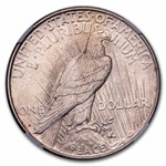 1923-D Peace Dollar MS-62 NGC