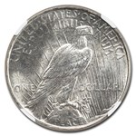 1923-D Peace Dollar MS-63 NGC